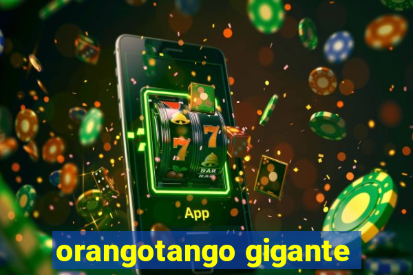 orangotango gigante